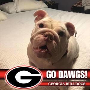 Meet your Posher, Renee